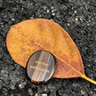 Polished banded agate stone with 'Solvitur ambulando' engraving, resting on autumn leaf for spiritual grounding.