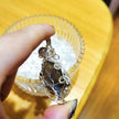 handcrafted high quality Labradorite Tree of Life Pendant with 925 Silver Necklace