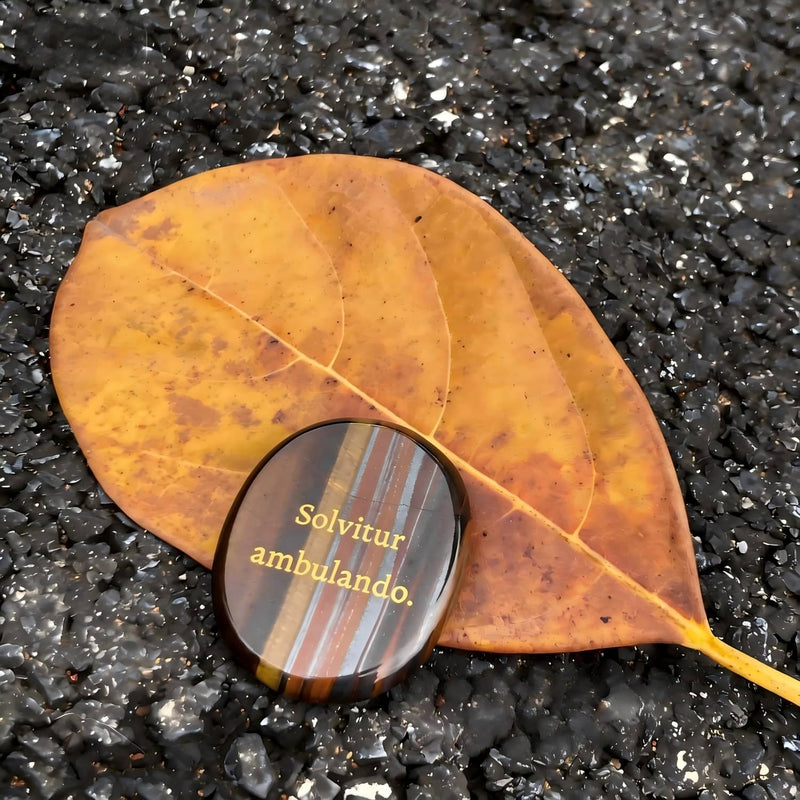 Polished banded agate stone with 'Solvitur ambulando' engraving, resting on autumn leaf over wet gravel