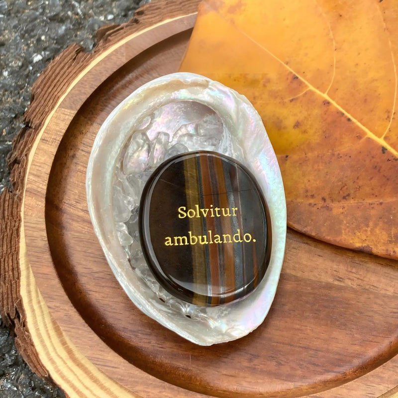 Tiger eye crystal with 'Solvitur ambulando' engraving in abalone shell, natural wood and autumn leaf setting
