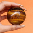 Hand holding polished tiger eye crystal sphere for protection and spiritual growth